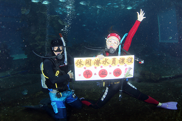 12/12正式上線！PADI 最新課程【休閑潛水員Resort Diver】 丨 一天拿證，潛遍全球